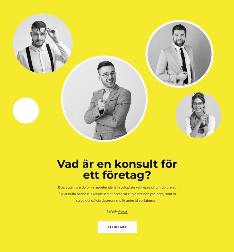 Partnerskap för framgång WordPress -tema