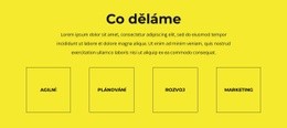 Řešení Odborného Poradenství – Stažení Šablony Webu