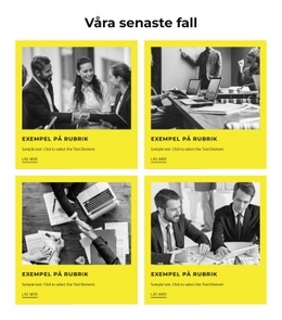 Våra Senaste Fall - WordPress & WooCommerce-Tema