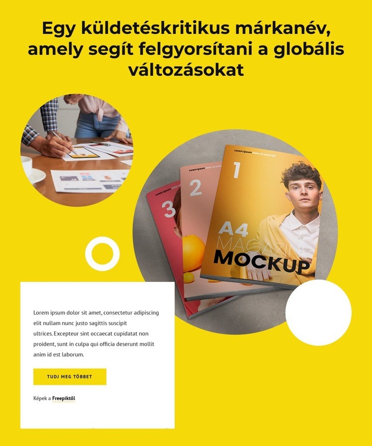 Az Ön megbízható webstúdiója Sablon