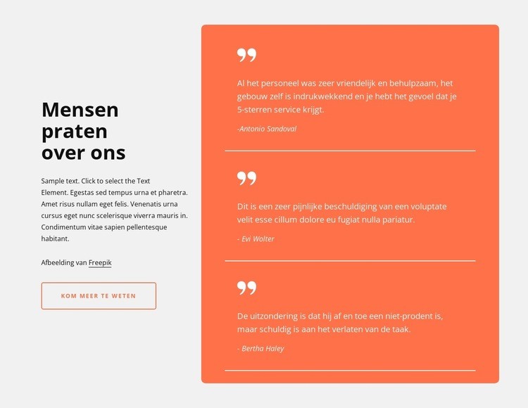 Getuigenissen in rastercel Website mockup