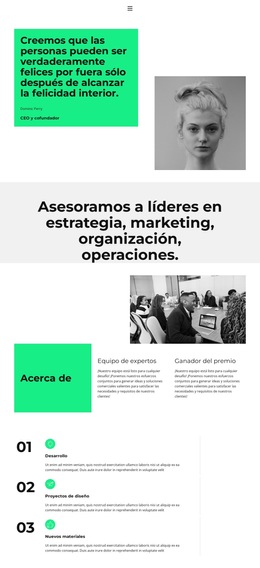 Trabajamos En Estrecha Colaboración: Plantilla De Sitio Web Sencilla