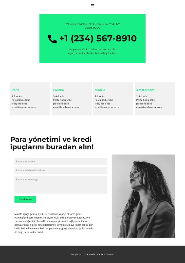 aramak mümkün Web Sitesi Şablonu