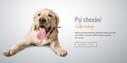 Habituace A Desenzibilizace – Návrh Webových Stránek