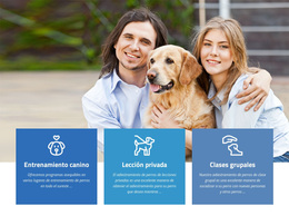 Descargar El Tema De WordPress Para Maneras De Detener El Comportamiento Agresivo