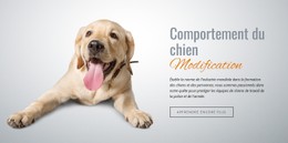 Habituation Et Désensibilisation