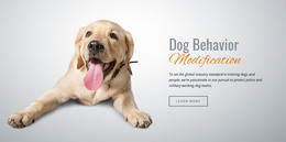 Habituation And Desensitization - Free Download Homepage Design