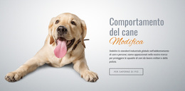 Assuefazione E Desensibilizzazione