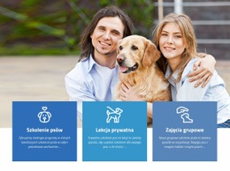 Sposoby Powstrzymania Agresywnego Zachowania - Responsywny Projekt Strony Internetowej