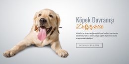 Alışkanlık Ve Duyarsızlaştırma - Tek Sayfalık Şablonu Ücretsiz Indirin