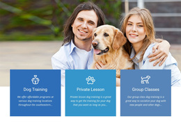 Web Page Design For Ways To Stop Aggressive Behaviour