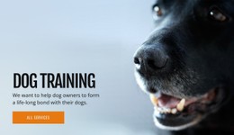CSS Menu For Effective Dog Behavior Training