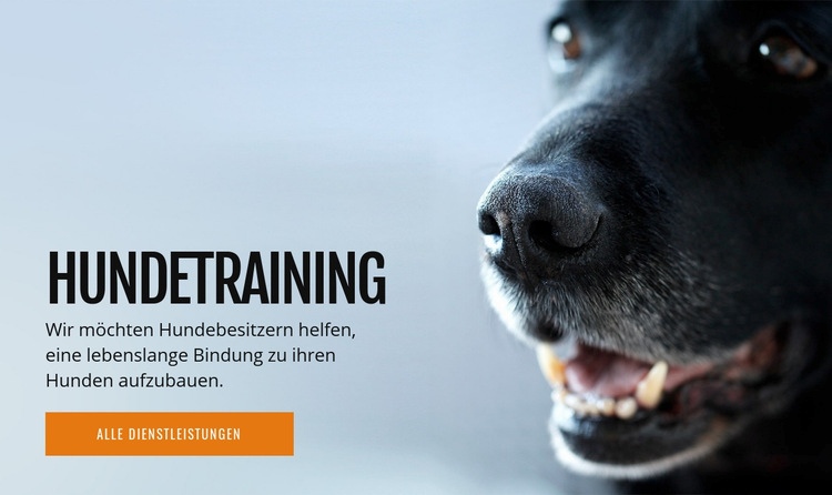 Effektives Hundeverhaltenstraining Eine Seitenvorlage