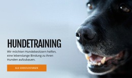 Effektives Hundeverhaltenstraining - HTML5 Website Builder