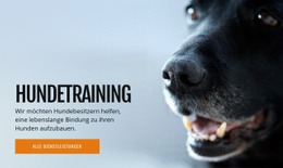 Effektives Hundeverhaltenstraining Online-Präsenz