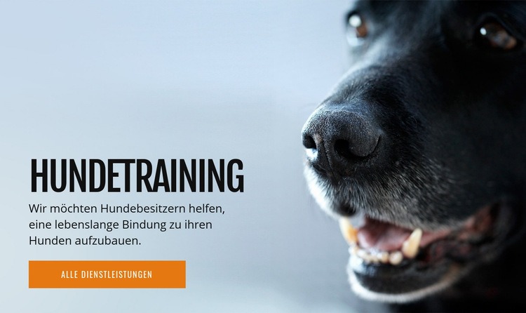 Effektives Hundeverhaltenstraining Website-Vorlage