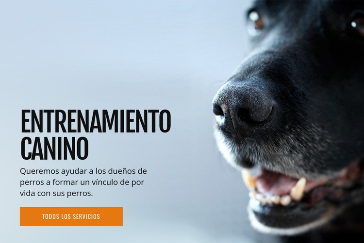 Entrenamiento efectivo del comportamiento del perro Maqueta de sitio web
