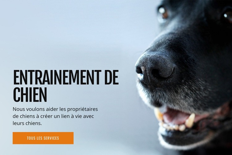 Formation efficace du comportement du chien Modèles de constructeur de sites Web