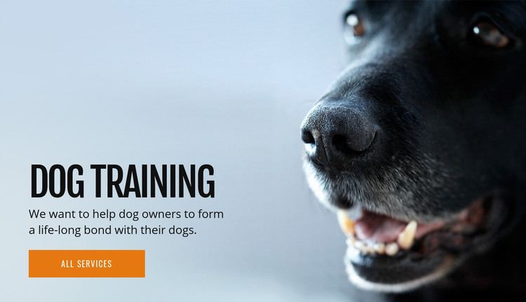 Effective dog behavior training Homepage Design