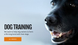 Effective Dog Behavior Training - Responsive Html Code