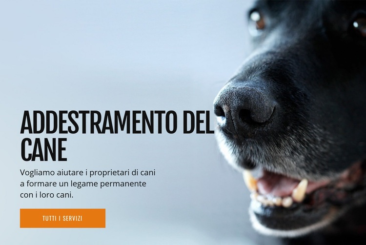 Efficace addestramento del comportamento del cane Costruttore di siti web HTML