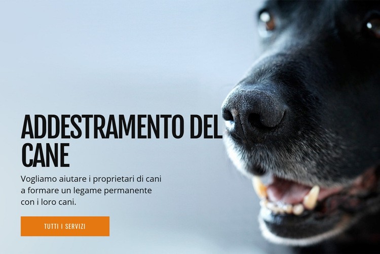 Efficace addestramento del comportamento del cane Mockup del sito web
