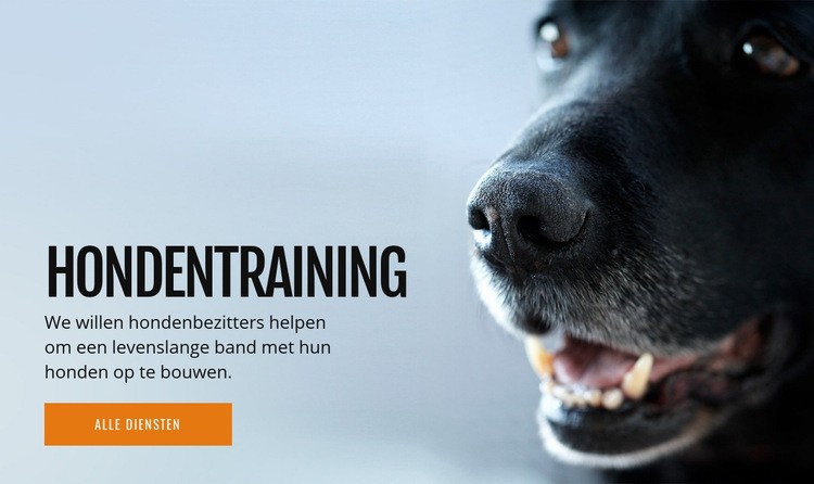 Effectieve training van hondengedrag HTML-sjabloon