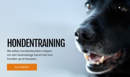 Siteontwerp Voor Effectieve Training Van Hondengedrag