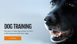 Effective Dog Behavior Training - Ready To Use One Page Template