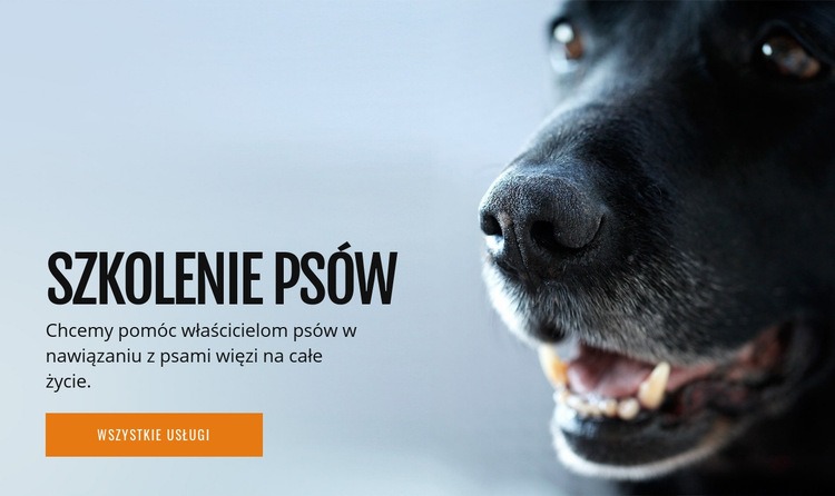 Skuteczne szkolenie zachowań psów Szablony do tworzenia witryn internetowych
