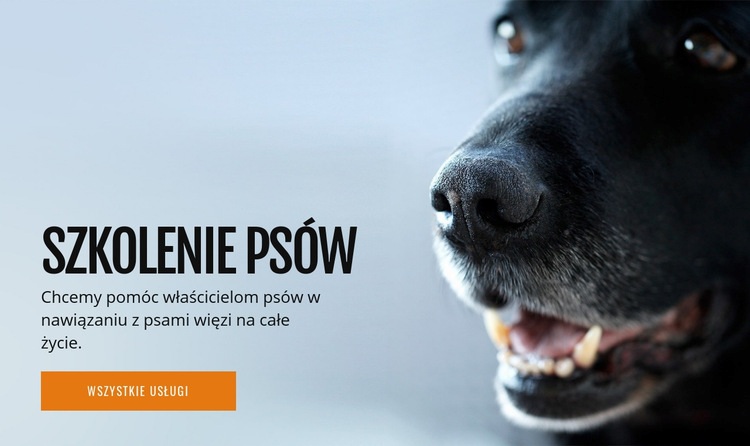 Skuteczne szkolenie zachowań psów Makieta strony internetowej