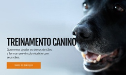 Design Do Site Para Treinamento Eficaz Do Comportamento Do Cão