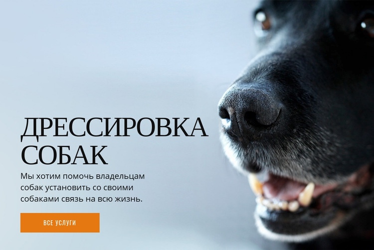 Эффективное обучение поведению собак Шаблоны конструктора веб-сайтов