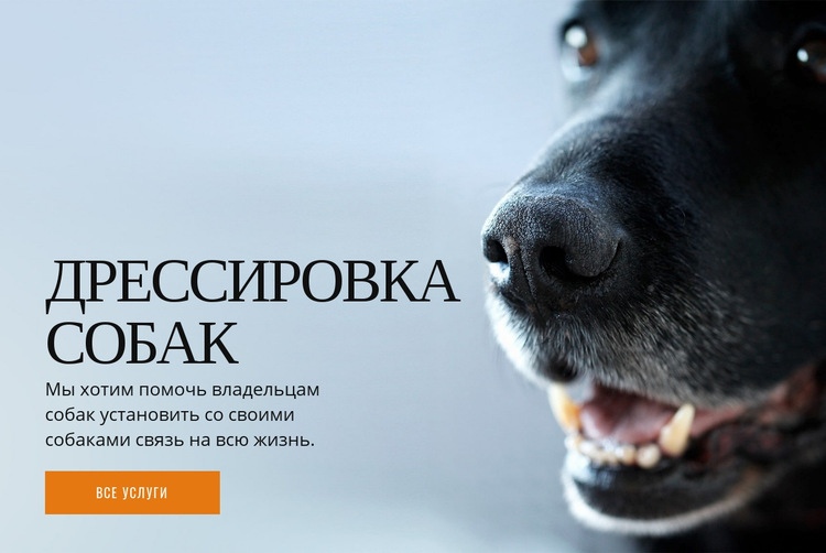 Эффективное обучение поведению собак WordPress тема