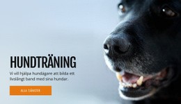Effektiv Hundbeteendesträning - Nedladdning Av HTML-Mall