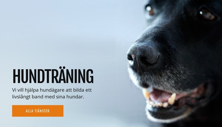 Effektiv hundbeteendesträning HTML-mall