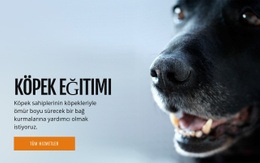 Etkili Köpek Davranış Eğitimi - HTML Şablonu Indirme