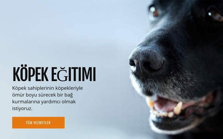 Etkili köpek davranış eğitimi Web Sitesi Mockup'ı