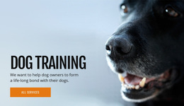 Effective Dog Behavior Training
