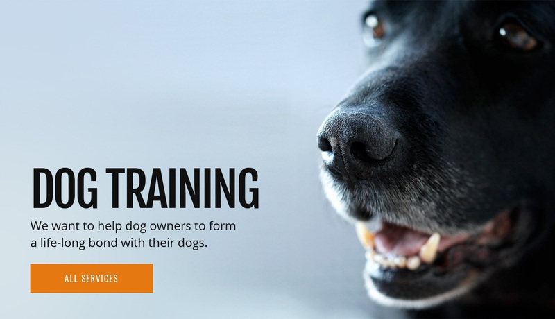 Effective dog behavior training Web Page Design