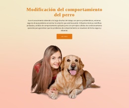 Entrenamiento De Obediencia Para Perros - Hermoso Diseño De Sitio Web