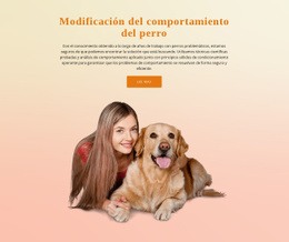 Página De Destino Premium Para Entrenamiento De Obediencia Para Perros