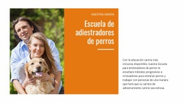 Nuestra Escuela De Adiestramiento Canino