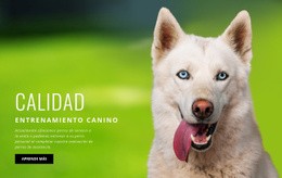 Plantilla En Línea Gratuita Para Método De Entrenamiento Probado