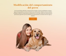 Plantilla HTML5 Entrenamiento De Obediencia Para Perros Para Cualquier Dispositivo