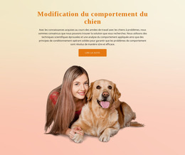 Formation D'Obéissance De Chien - Modèle De Site Web Joomla