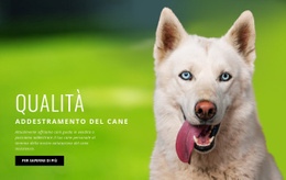 Metodo Di Allenamento Comprovato