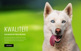 Gratis Online Sjabloon Voor Bewezen Trainingsmethode