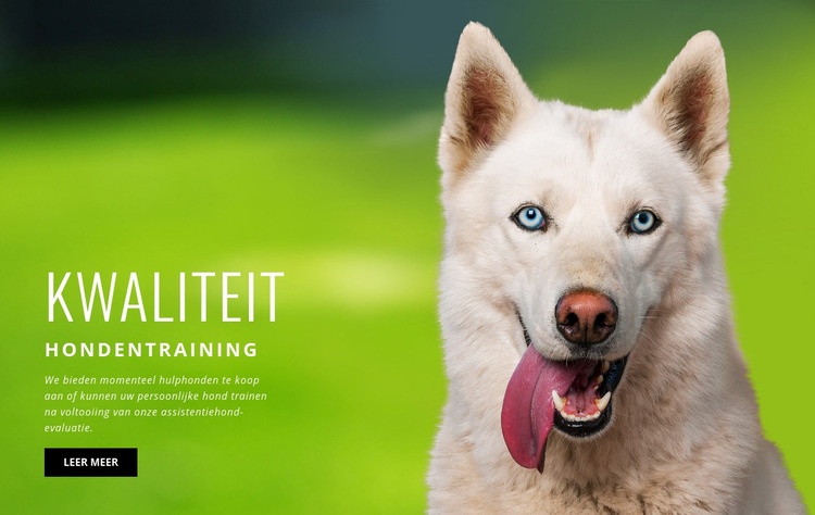 Bewezen trainingsmethode Website Builder-sjablonen