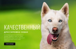 Проверенный Метод Обучения — Готовая К Использованию Тема WordPress